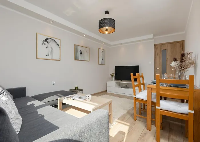 Pet-Friendly Apartment Panska With Ac By Noclegi Renters